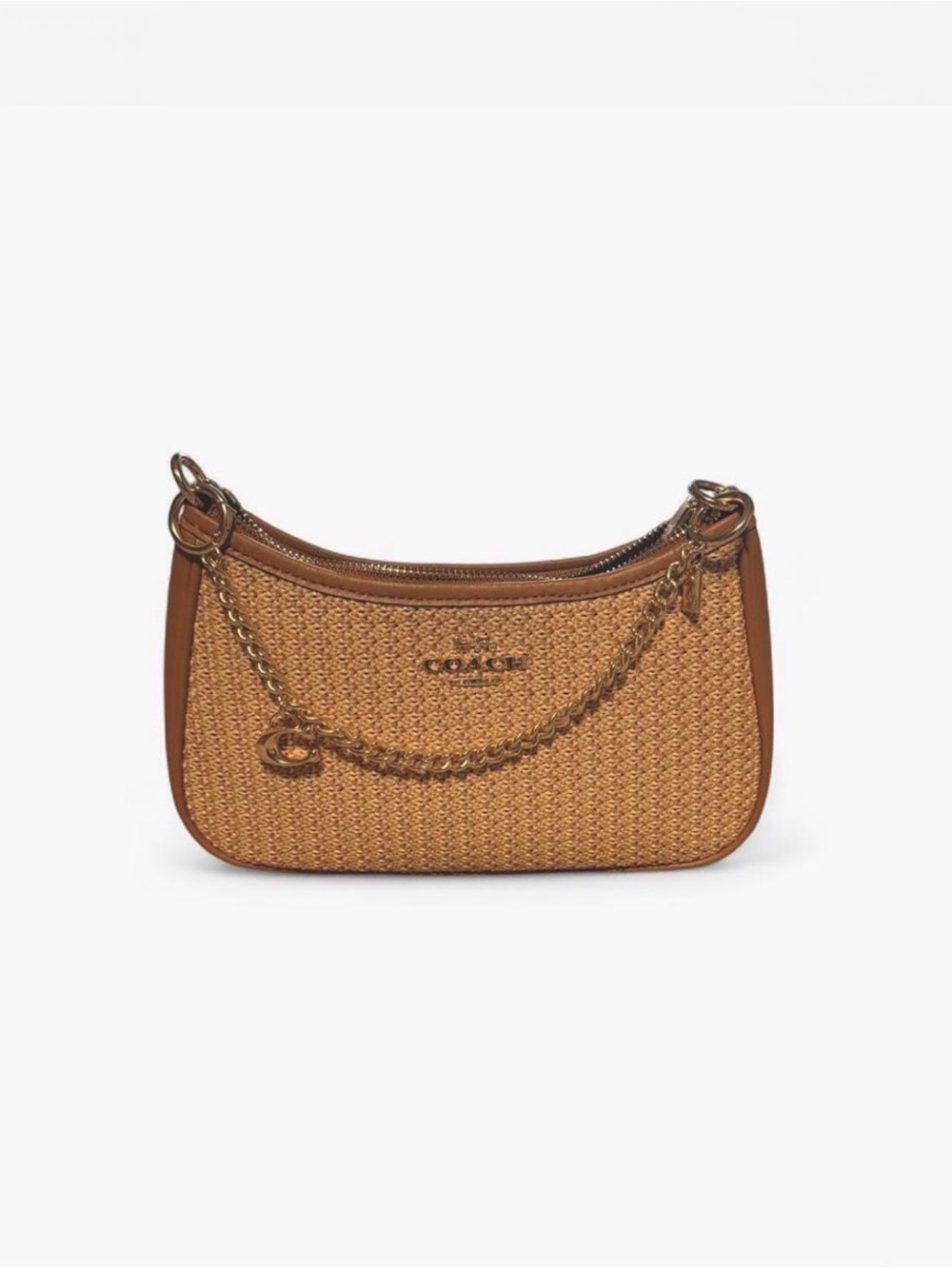 Coach Teri Straw Shoulder Bag